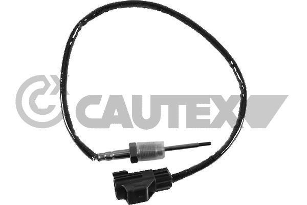 Cautex 771152 Exhaust gas temperature sensor 771152: Buy near me in Poland at 2407.PL - Good price!