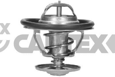 Cautex 770197 Thermostat, coolant 770197: Buy near me in Poland at 2407.PL - Good price!