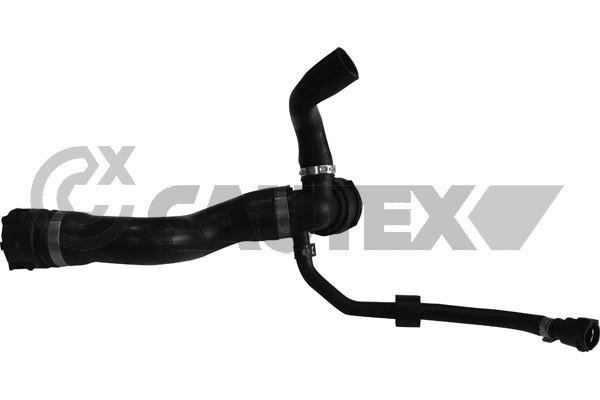 Cautex 753920 Radiator hose 753920: Buy near me in Poland at 2407.PL - Good price!