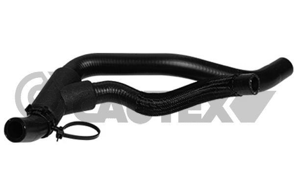 Cautex 753419 Radiator hose 753419: Buy near me at 2407.PL in Poland at an Affordable price!