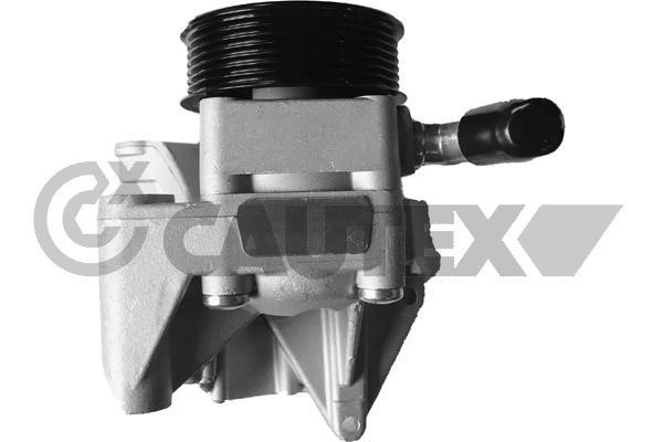 Cautex 768326 Hydraulic Pump, steering system 768326: Buy near me in Poland at 2407.PL - Good price!