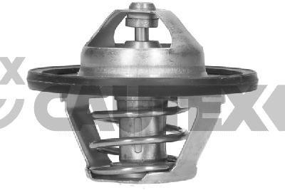 Cautex 756862 Thermostat, coolant 756862: Buy near me in Poland at 2407.PL - Good price!
