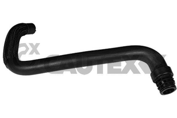 Cautex 753313 Radiator hose 753313: Buy near me in Poland at 2407.PL - Good price!