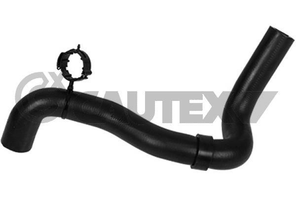 Cautex 753398 Radiator hose 753398: Buy near me in Poland at 2407.PL - Good price!