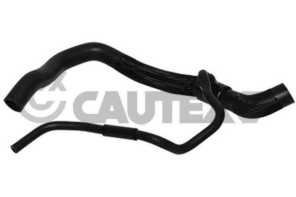 Cautex 753442 Radiator hose 753442: Buy near me in Poland at 2407.PL - Good price!