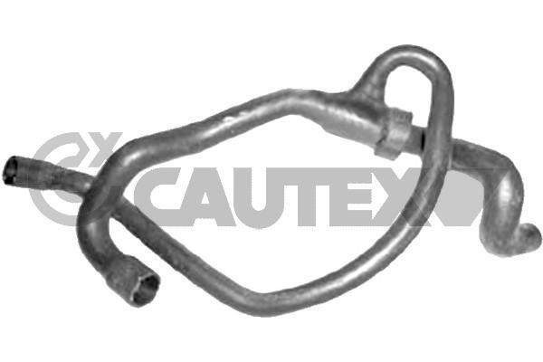 Cautex 753639 Radiator hose 753639: Buy near me in Poland at 2407.PL - Good price!