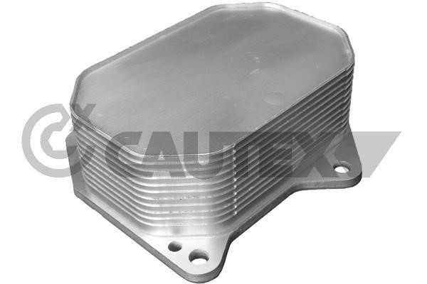 Cautex 081417 Oil Cooler, engine oil 081417: Buy near me in Poland at 2407.PL - Good price!