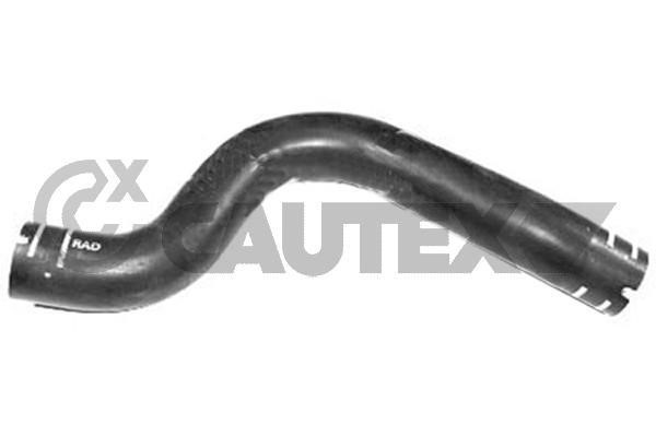 Cautex 753577 Radiator hose 753577: Buy near me in Poland at 2407.PL - Good price!