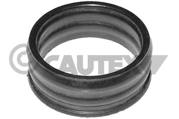 Cautex 751981 Gasket, water pump 751981: Buy near me in Poland at 2407.PL - Good price!