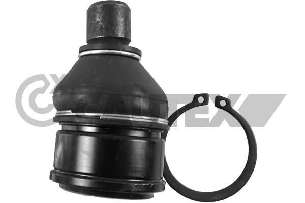 Cautex 755067 Ball joint 755067: Buy near me in Poland at 2407.PL - Good price!