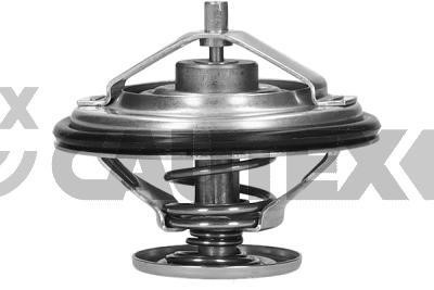 Cautex 756873 Thermostat, coolant 756873: Buy near me in Poland at 2407.PL - Good price!