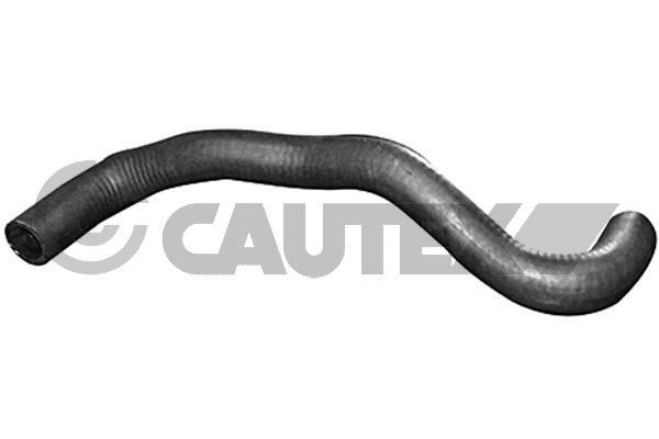 Cautex 753299 Radiator hose 753299: Buy near me at 2407.PL in Poland at an Affordable price!