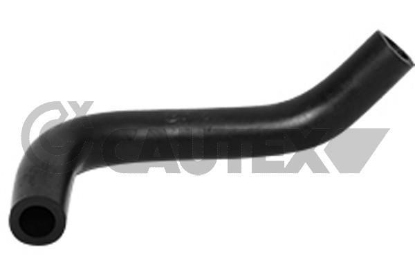 Cautex 754613 Hose, cylinder head cover breather 754613: Buy near me in Poland at 2407.PL - Good price!