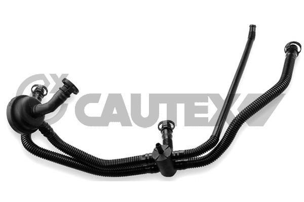 Cautex 757522 Hose, crankcase breather 757522: Buy near me in Poland at 2407.PL - Good price!