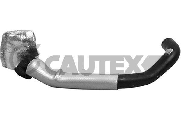 Cautex 764695 Hose, cylinder head cover breather 764695: Buy near me in Poland at 2407.PL - Good price!