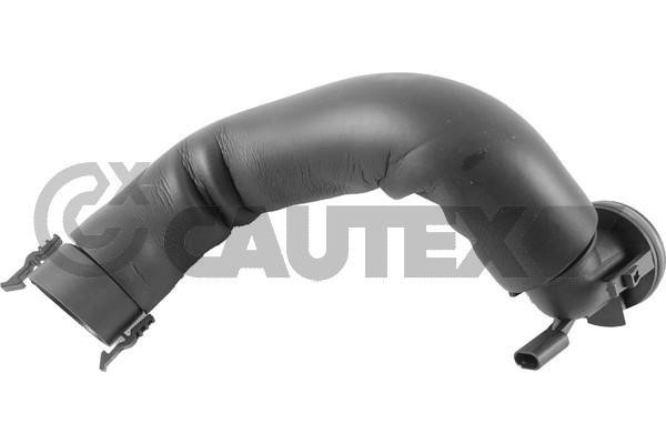 Cautex 771383 Oil Hose 771383: Buy near me at 2407.PL in Poland at an Affordable price!