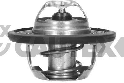 Cautex 756882 Thermostat, coolant 756882: Buy near me in Poland at 2407.PL - Good price!