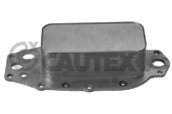 Cautex 751771 Oil Cooler, engine oil 751771: Buy near me in Poland at 2407.PL - Good price!
