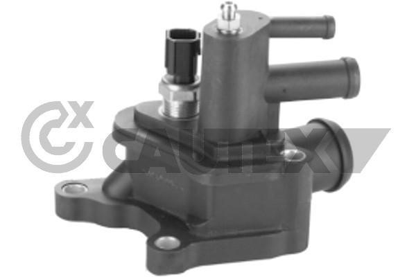 Cautex 767175 Thermostat housing 767175: Buy near me in Poland at 2407.PL - Good price!