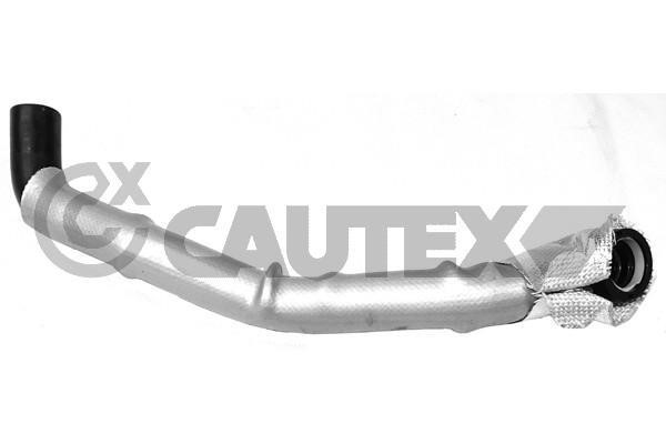 Cautex 765060 Hose, cylinder head cover breather 765060: Buy near me in Poland at 2407.PL - Good price!