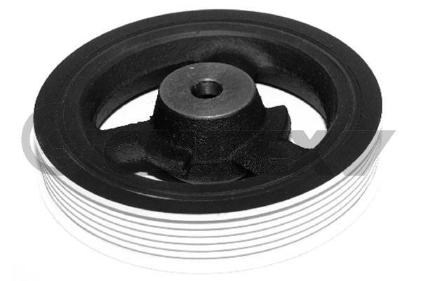 Cautex 201652 Belt Pulley, crankshaft 201652: Buy near me at 2407.PL in Poland at an Affordable price!