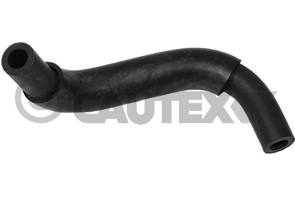 Cautex 753131 Hose, cylinder head cover breather 753131: Buy near me in Poland at 2407.PL - Good price!