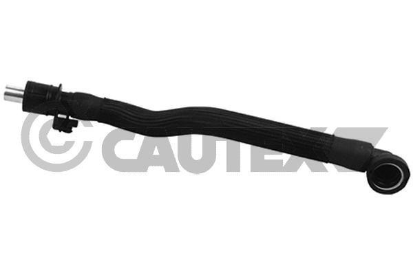 Cautex 764622 Hose, cylinder head cover breather 764622: Buy near me in Poland at 2407.PL - Good price!