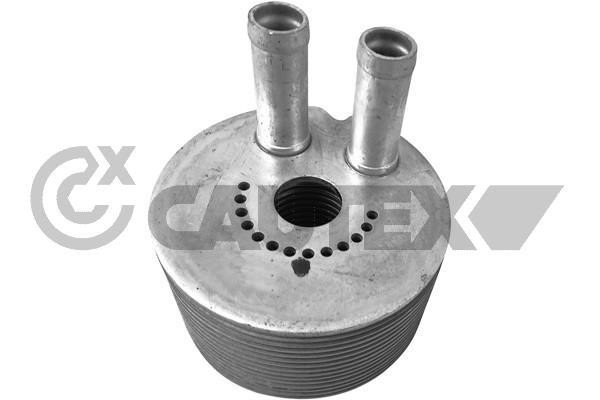 Cautex 751831 Oil Cooler, engine oil 751831: Buy near me in Poland at 2407.PL - Good price!