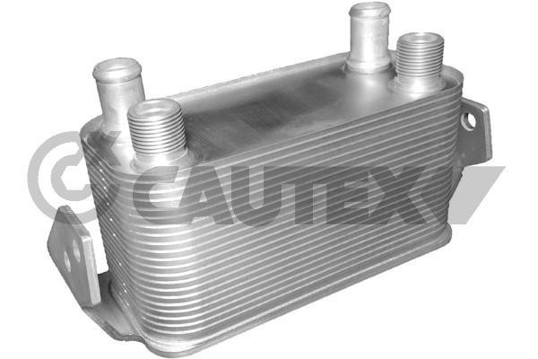 Cautex 751748 Oil Cooler, engine oil 751748: Buy near me in Poland at 2407.PL - Good price!
