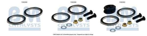 BM Catalysts FK80299 Монтажный комплект, катализатор FK80299: Отличная цена - Купить в Польше на 2407.PL!