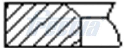 Freccia FR10-505200 Кільця поршневі, комплект FR10505200: Приваблива ціна - Купити у Польщі на 2407.PL!