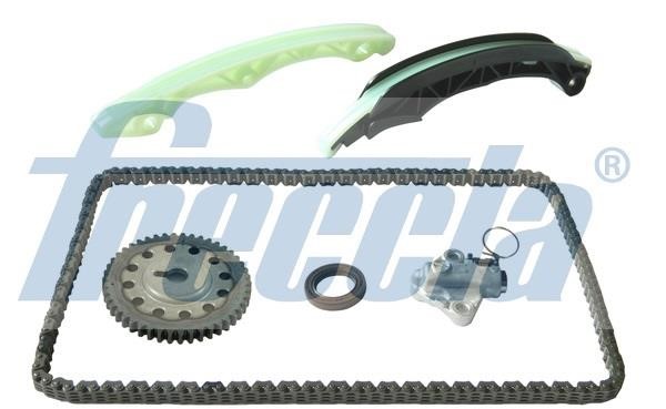 Freccia TK08-1013 Timing chain kit TK081013: Buy near me in Poland at 2407.PL - Good price!