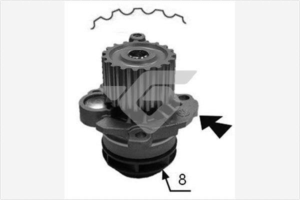 Hutchinson WP79 Water pump WP79: Buy near me in Poland at 2407.PL - Good price!