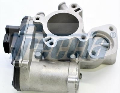 Freccia EGR12-200 EGR Valve EGR12200: Buy near me in Poland at 2407.PL - Good price!