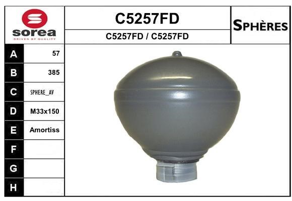 SNRA C5257FD Hydraulic accumulator C5257FD: Buy near me in Poland at 2407.PL - Good price!