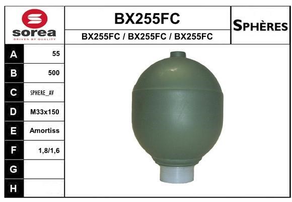 SNRA BX255FC Hydraulic accumulator BX255FC: Buy near me in Poland at 2407.PL - Good price!