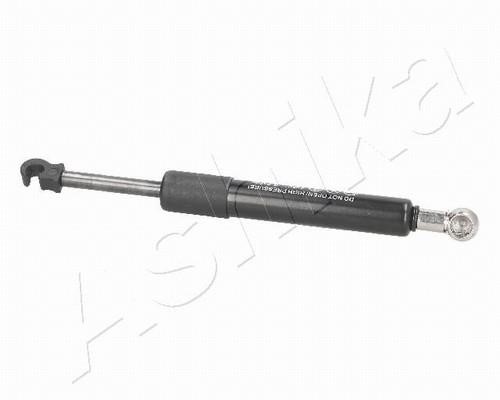 Ashika ZSA01066 Gas Spring, boot-/cargo area ZSA01066: Buy near me in Poland at 2407.PL - Good price!