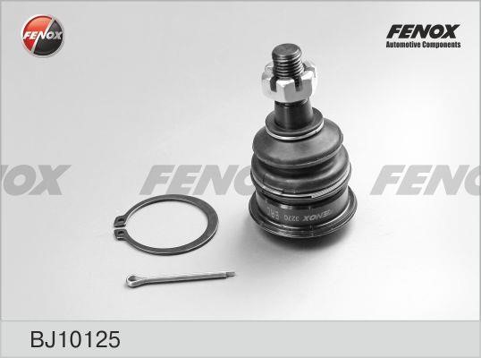 Fenox BJ10125 Front lower arm ball joint BJ10125: Buy near me in Poland at 2407.PL - Good price!
