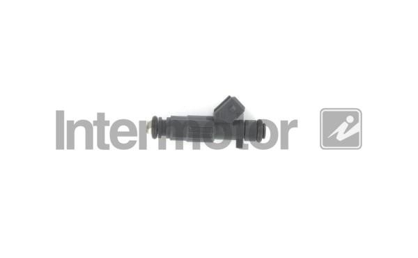 Injector fuel Intermotor 31042