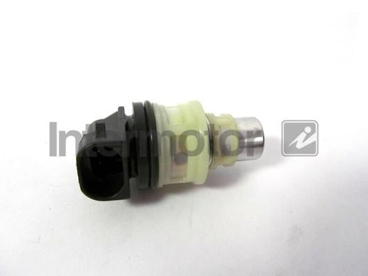 Intermotor 14733 Injector fuel 14733: Buy near me in Poland at 2407.PL - Good price!