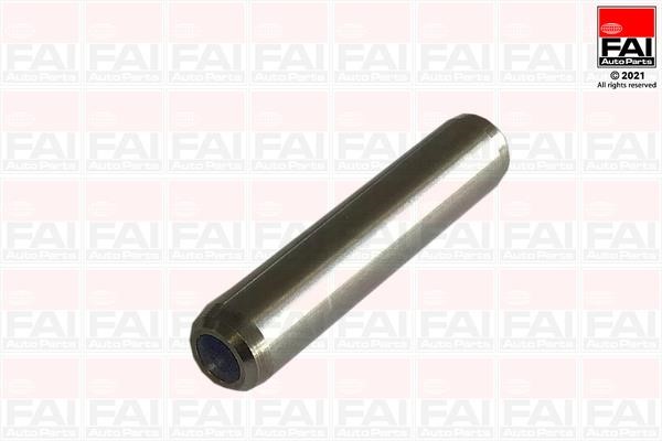 FAI BFG033 Valve guide BFG033: Buy near me in Poland at 2407.PL - Good price!