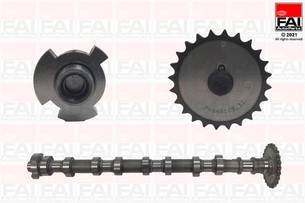 FAI C413 Camshaft C413: Buy near me at 2407.PL in Poland at an Affordable price!