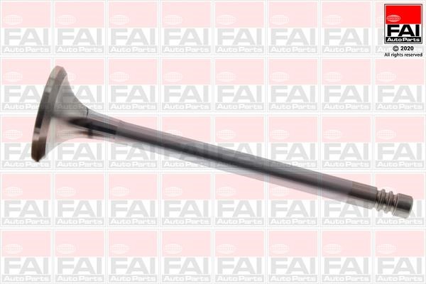 FAI EV95207 Exhaust valve EV95207: Buy near me at 2407.PL in Poland at an Affordable price!