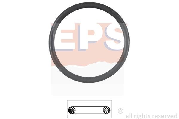 Eps 1890538 Termostat gasket 1890538: Buy near me in Poland at 2407.PL - Good price!