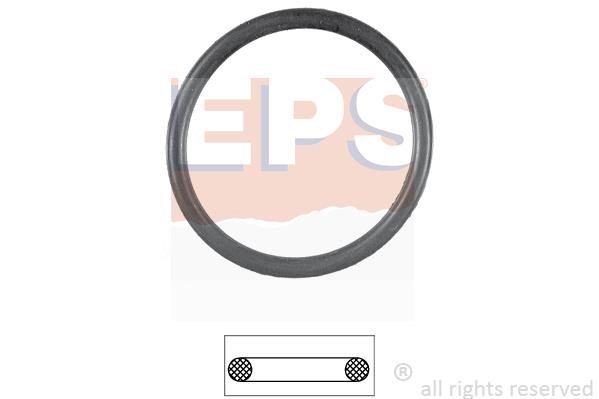 Eps 1890551 Termostat gasket 1890551: Buy near me in Poland at 2407.PL - Good price!