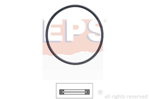 Eps 1890705 Termostat gasket 1890705: Buy near me in Poland at 2407.PL - Good price!