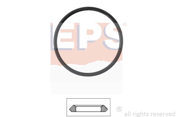 Eps 1890655 Termostat gasket 1890655: Buy near me in Poland at 2407.PL - Good price!