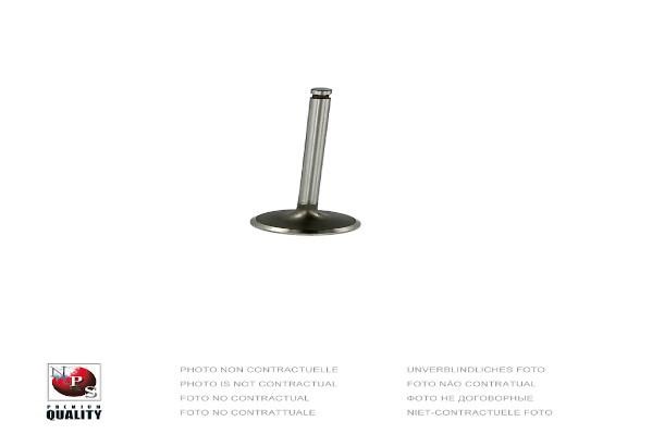 Nippon pieces T920A25 Intake valve T920A25: Buy near me in Poland at 2407.PL - Good price!