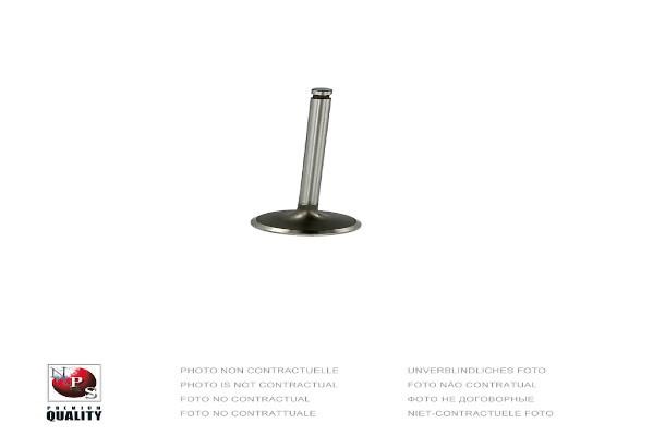 Nippon pieces T920A30 Intake valve T920A30: Buy near me in Poland at 2407.PL - Good price!