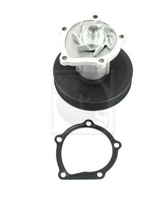 Nippon pieces D151O16 Water pump D151O16: Buy near me in Poland at 2407.PL - Good price!